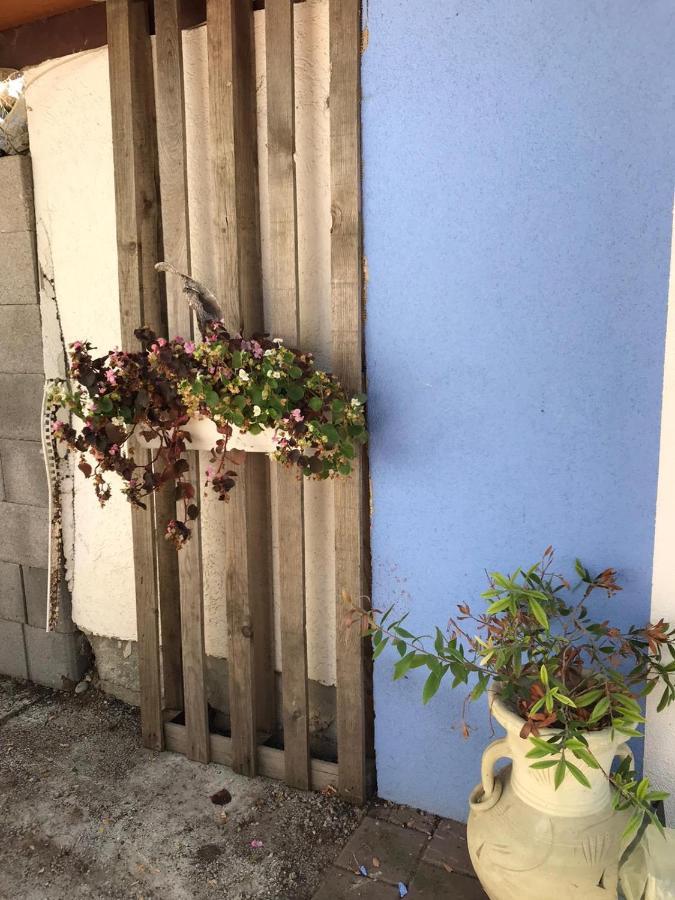 Ferienwohnung Auf Der Blue Ranch Engen Dış mekan fotoğraf