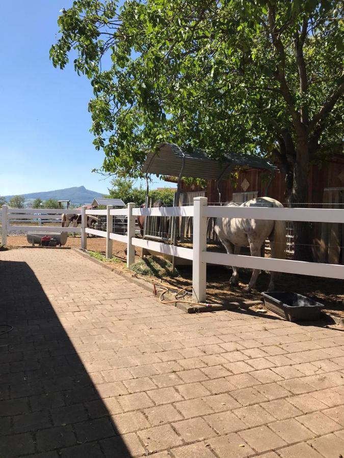 Ferienwohnung Auf Der Blue Ranch Engen Dış mekan fotoğraf